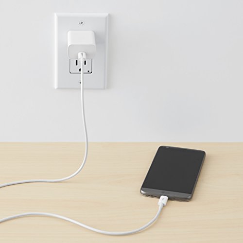 AmazonBasics Cable USB tipo C a USB tipo C - 6 pies (1.8 metros), color blanco